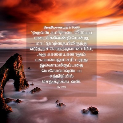 Picture 04 - லேவியராகமம் 3:1 TAMIRV - “ஒருவன் - Bible Verse Picture