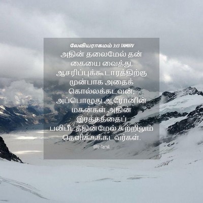 Picture 04 - லேவியராகமம் 3:13 TAMIRV - அதின் தலைமேல் தன் - Bible Verse Picture