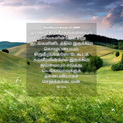 Picture 04 - லேவியராகமம் 3:15 TAMIRV - இரண்டு - Bible Verse Picture