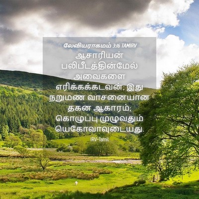 Picture 04 - லேவியராகமம் 3:16 TAMIRV - ஆசாரியன் - Bible Verse Picture