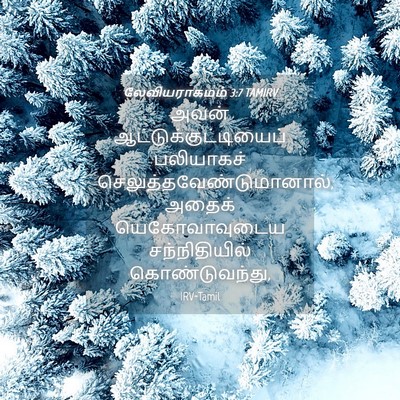Picture 04 - லேவியராகமம் 3:7 TAMIRV - அவன் - Bible Verse Picture