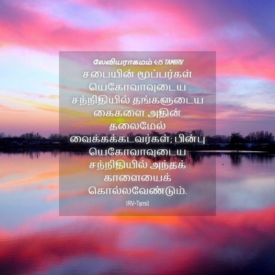 Picture 04 - லேவியராகமம் 4:15 TAMIRV - சபையின் - Bible Verse Picture