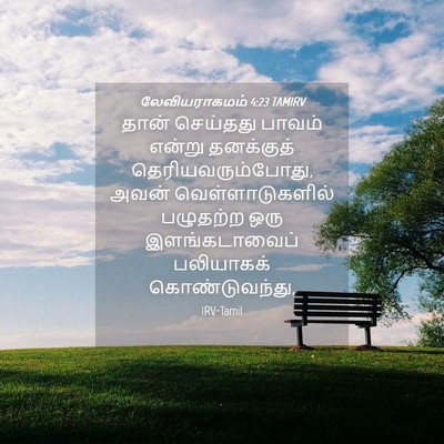 Picture 04 - லேவியராகமம் 4:23 TAMIRV - தான் செய்தது - Bible Verse Picture