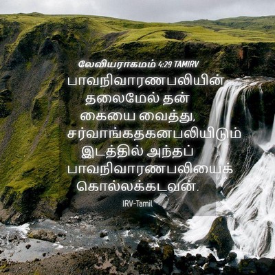 Picture 04 - லேவியராகமம் 4:29 TAMIRV - பாவநிவாரணபலியின் - Bible Verse Picture