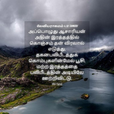 Picture 04 - லேவியராகமம் 4:30 TAMIRV - அப்பொழுது - Bible Verse Picture