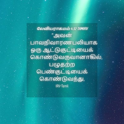 Picture 04 - லேவியராகமம் 4:32 TAMIRV - “அவன் - Bible Verse Picture