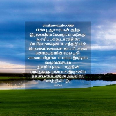 Picture 04 - லேவியராகமம் 4:7 TAMIRV - பின்பு, ஆசாரியன் - Bible Verse Picture