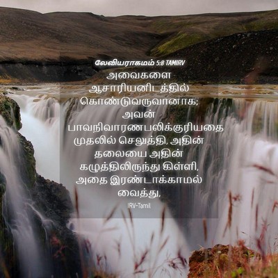 Picture 04 - லேவியராகமம் 5:8 TAMIRV - அவைகளை - Bible Verse Picture