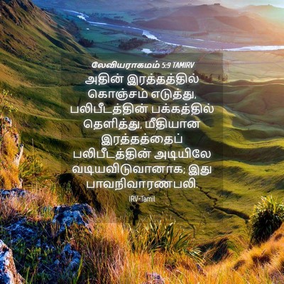 Picture 04 - லேவியராகமம் 5:9 TAMIRV - அதின் இரத்தத்தில் - Bible Verse Picture