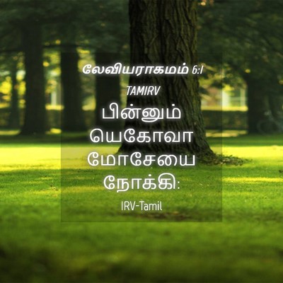 Picture 04 - லேவியராகமம் 6:1 TAMIRV - பின்னும் யெகோவா - Bible Verse Picture