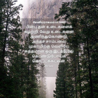 Picture 04 - லேவியராகமம் 6:11 TAMIRV - பின்பு தன் - Bible Verse Picture