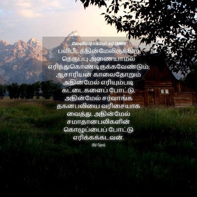 Picture 04 - லேவியராகமம் 6:12 TAMIRV -  - Bible Verse Picture