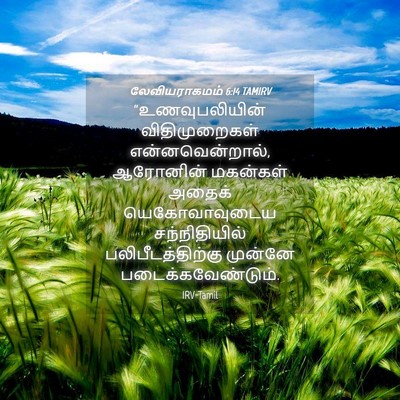 Picture 04 - லேவியராகமம் 6:14 TAMIRV - “உணவுபலியின் - Bible Verse Picture