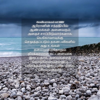 Picture 04 - லேவியராகமம் 6:18 TAMIRV - ஆரோனின் - Bible Verse Picture