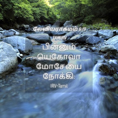Picture 04 - லேவியராகமம் 6:19 TAMIRV - பின்னும் யெகோவா - Bible Verse Picture