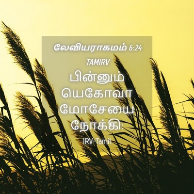 Picture 04 - லேவியராகமம் 6:24 TAMIRV - பின்னும் யெகோவா - Bible Verse Picture