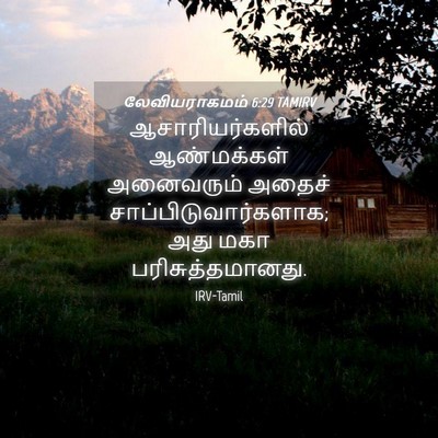 Picture 04 - லேவியராகமம் 6:29 TAMIRV - ஆசாரியர்களில் - Bible Verse Picture