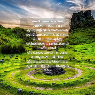 Picture 04 - லேவியராகமம் 7:14 TAMIRV - அந்தப் படைப்பு - Bible Verse Picture