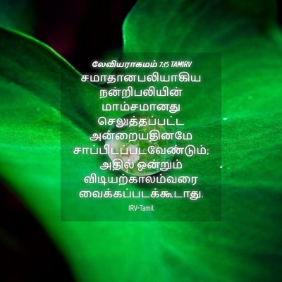 Picture 04 - லேவியராகமம் 7:15 TAMIRV - சமாதானபலியாகிய - Bible Verse Picture