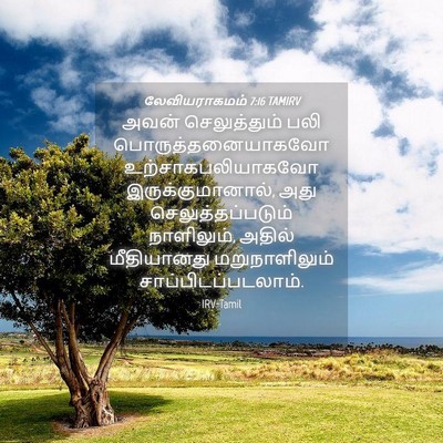 Picture 04 - லேவியராகமம் 7:16 TAMIRV - அவன் செலுத்தும் - Bible Verse Picture