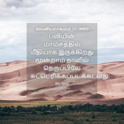 Picture 04 - லேவியராகமம் 7:17 TAMIRV - பலியின் - Bible Verse Picture