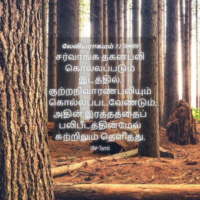Picture 04 - லேவியராகமம் 7:2 TAMIRV - சர்வாங்க தகனபலி - Bible Verse Picture