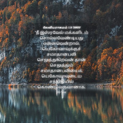 Picture 04 - லேவியராகமம் 7:29 TAMIRV - “நீ இஸ்ரவேல் - Bible Verse Picture