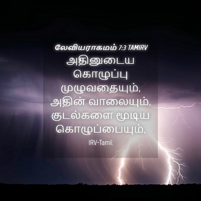 Picture 04 - லேவியராகமம் 7:3 TAMIRV - அதினுடைய கொழுப்பு - Bible Verse Picture