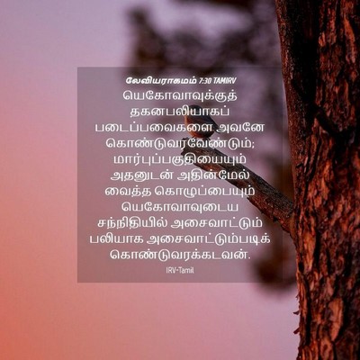 Picture 04 - லேவியராகமம் 7:30 TAMIRV - யெகோவாவுக்குத் - Bible Verse Picture