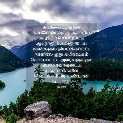 Picture 04 - லேவியராகமம் 7:35 TAMIRV - “யெகோவாவுக்கு - Bible Verse Picture