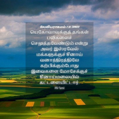 Picture 04 - லேவியராகமம் 7:38 TAMIRV - யெகோவாவுக்குத் - Bible Verse Picture