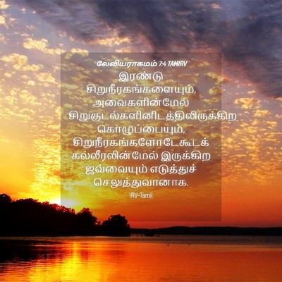 Picture 04 - லேவியராகமம் 7:4 TAMIRV - இரண்டு - Bible Verse Picture