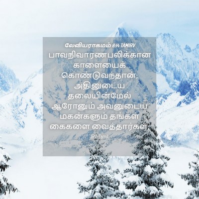 Picture 04 - லேவியராகமம் 8:14 TAMIRV -  - Bible Verse Picture