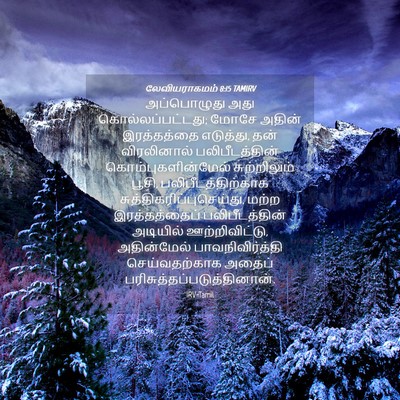 Picture 04 - லேவியராகமம் 8:15 TAMIRV - அப்பொழுது அது - Bible Verse Picture