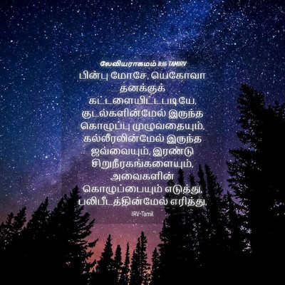Picture 04 - லேவியராகமம் 8:16 TAMIRV - பின்பு மோசே, - Bible Verse Picture