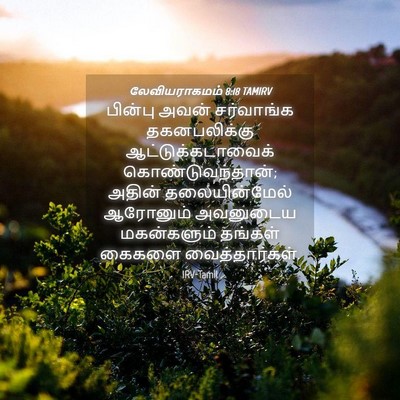 Picture 04 - லேவியராகமம் 8:18 TAMIRV - பின்பு அவன் - Bible Verse Picture