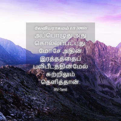 Picture 04 - லேவியராகமம் 8:19 TAMIRV - அப்பொழுது அது - Bible Verse Picture