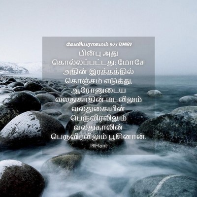 Picture 04 - லேவியராகமம் 8:23 TAMIRV - பின்பு அது - Bible Verse Picture