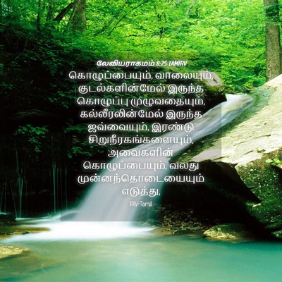 Picture 04 - லேவியராகமம் 8:25 TAMIRV - கொழுப்பையும், - Bible Verse Picture