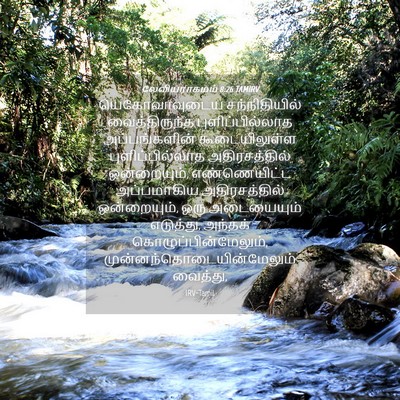 Picture 04 - லேவியராகமம் 8:26 TAMIRV - யெகோவாவுடைய - Bible Verse Picture