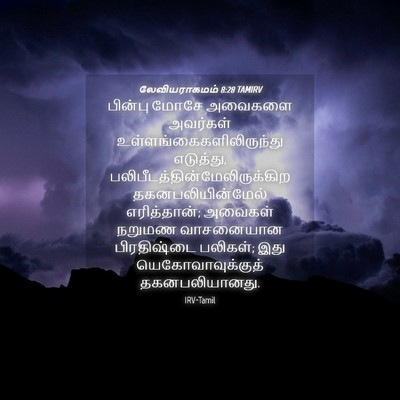 Picture 04 - லேவியராகமம் 8:28 TAMIRV - பின்பு மோசே - Bible Verse Picture