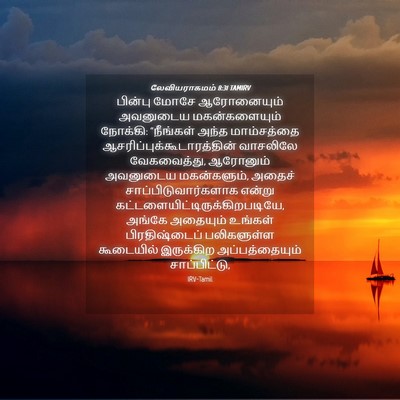 Picture 04 - லேவியராகமம் 8:31 TAMIRV - பின்பு மோசே - Bible Verse Picture