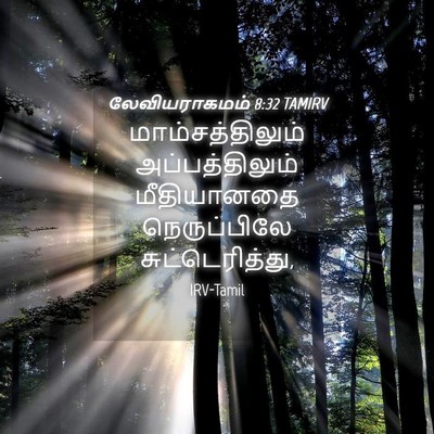 Picture 04 - லேவியராகமம் 8:32 TAMIRV - மாம்சத்திலும் - Bible Verse Picture