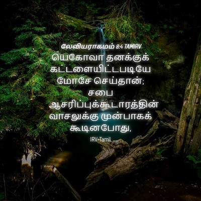 Picture 04 - லேவியராகமம் 8:4 TAMIRV - யெகோவா தனக்குக் - Bible Verse Picture