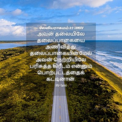 Picture 04 - லேவியராகமம் 8:9 TAMIRV - அவன் தலையிலே - Bible Verse Picture