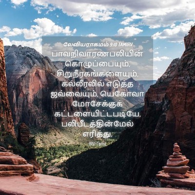 Picture 04 - லேவியராகமம் 9:10 TAMIRV - பாவநிவாரணபலியின் - Bible Verse Picture