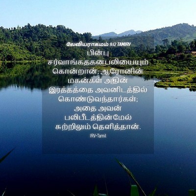 Picture 04 - லேவியராகமம் 9:12 TAMIRV - பின்பு - Bible Verse Picture