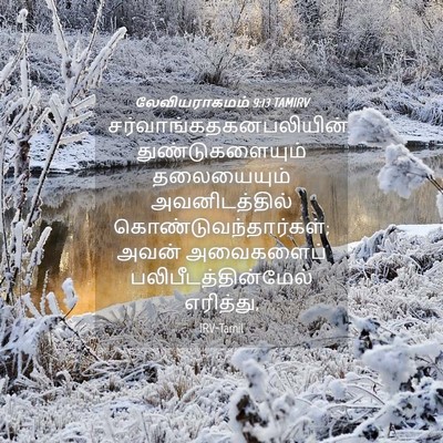Picture 04 - லேவியராகமம் 9:13 TAMIRV -  - Bible Verse Picture