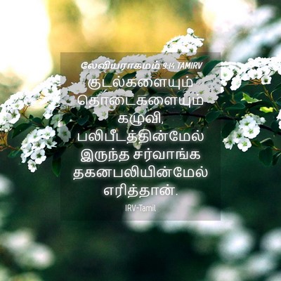 Picture 04 - லேவியராகமம் 9:14 TAMIRV - குடல்களையும் - Bible Verse Picture