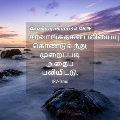 Picture 04 - லேவியராகமம் 9:16 TAMIRV -  - Bible Verse Picture